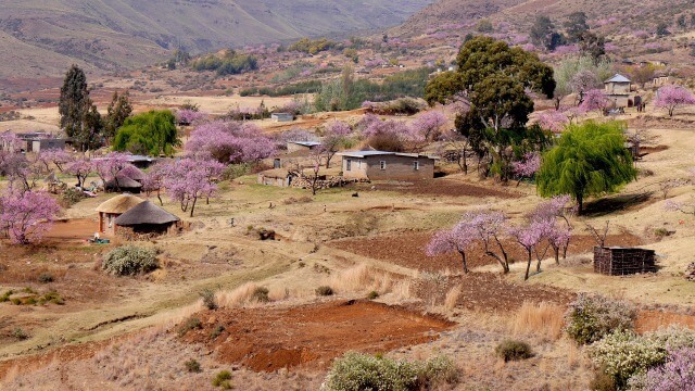 Reseförsäkring Lesotho