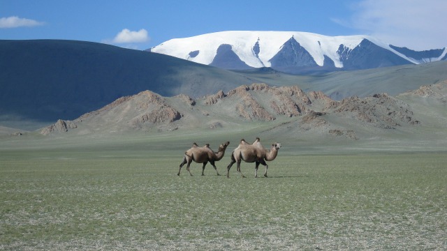 Reseförsäkring Mongoliet